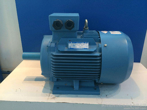 高效節(jié)能電機(jī)是西安泰富西瑪未來商業(yè)發(fā)展的方向。