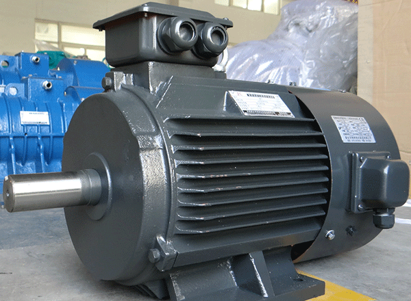 西安西瑪感應(yīng)式電機(jī)逆時(shí)針輸入工作負(fù)荷采集。